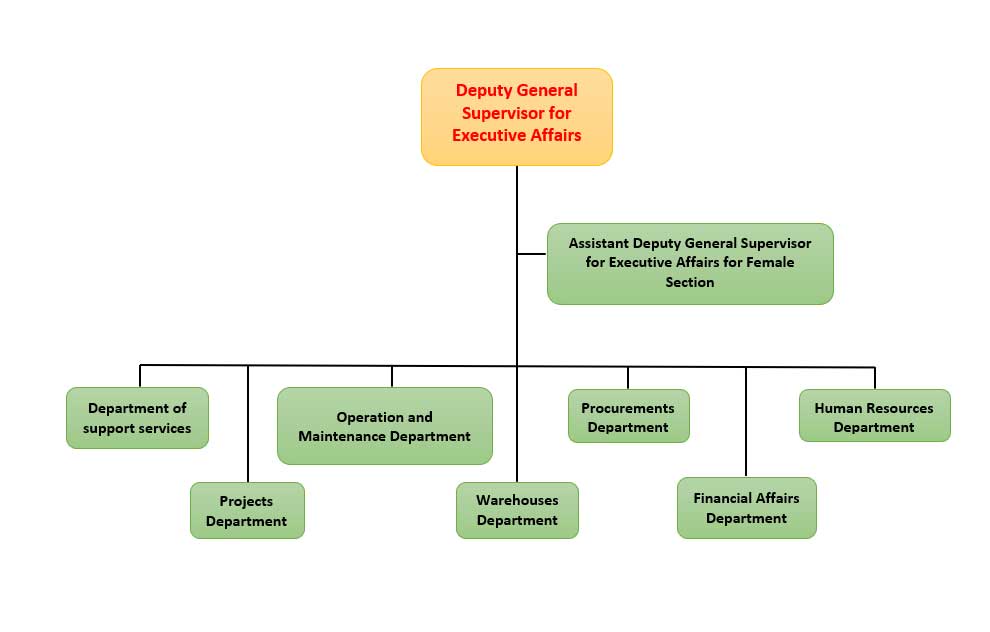 Vice Supervisor for Executive Operations
