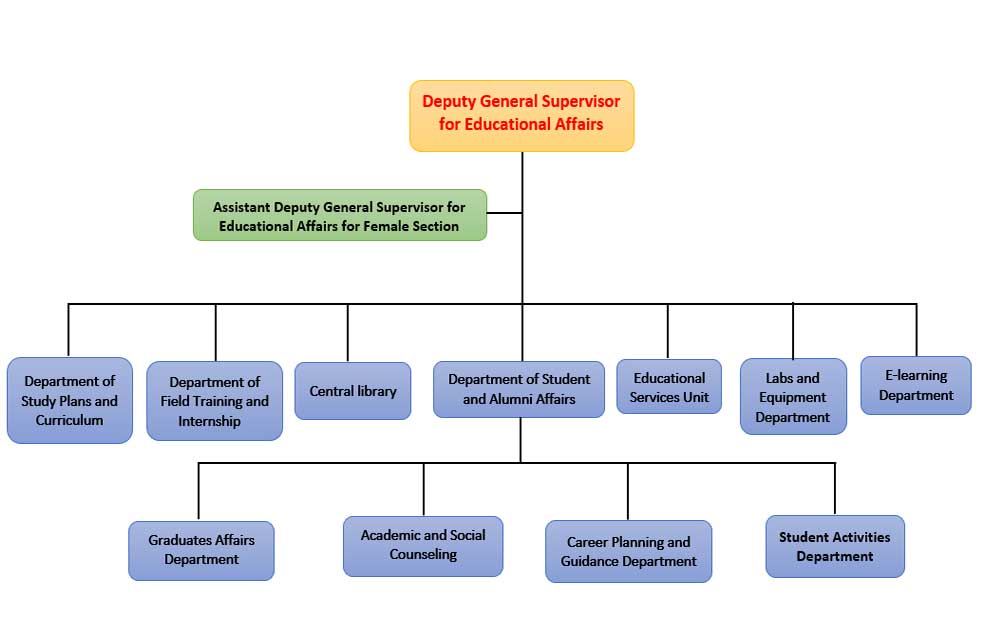 Vice Supervisor for Education Affairs